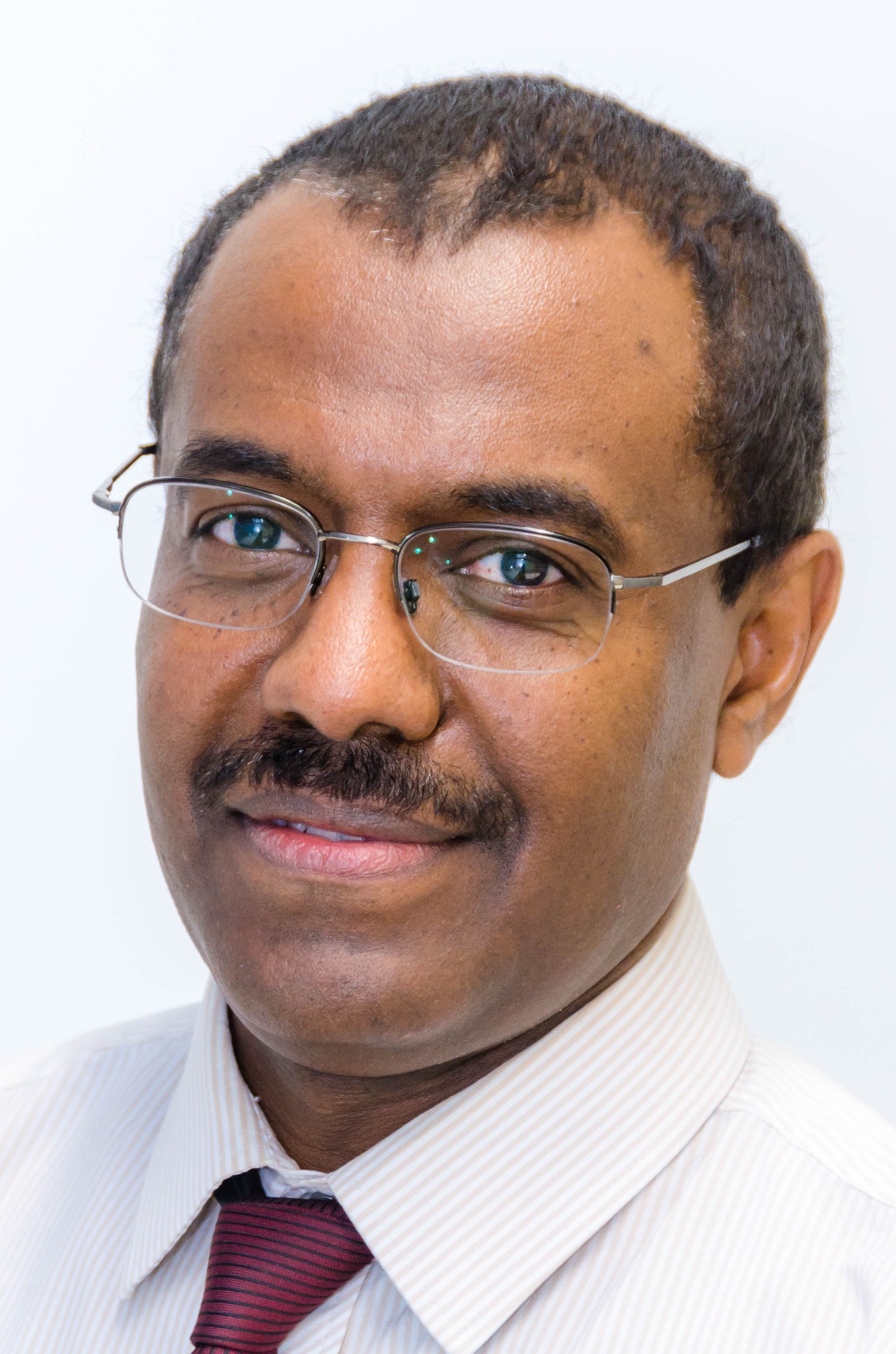 Professor Latif Mohamed